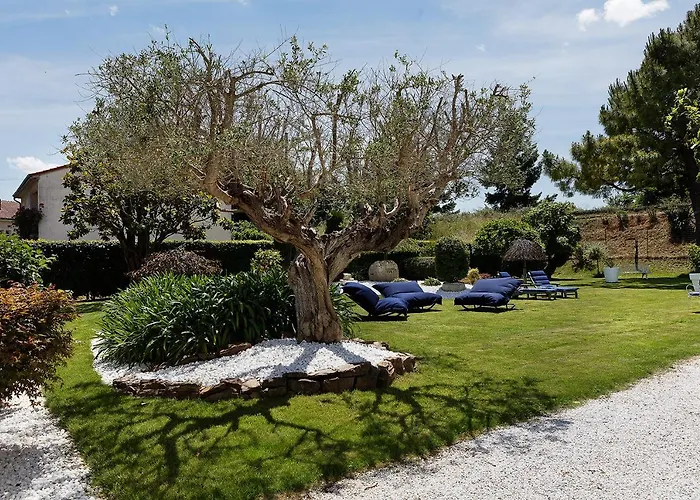 LE CHERCHE MIDI Chambres d'hôtes avec CUISINE EQUIPEE grand jardin PARKING SECURISE GRATUIT Albi