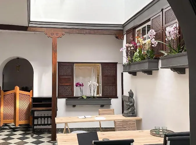 Hotel Gato Azul - Coliving La Orotava