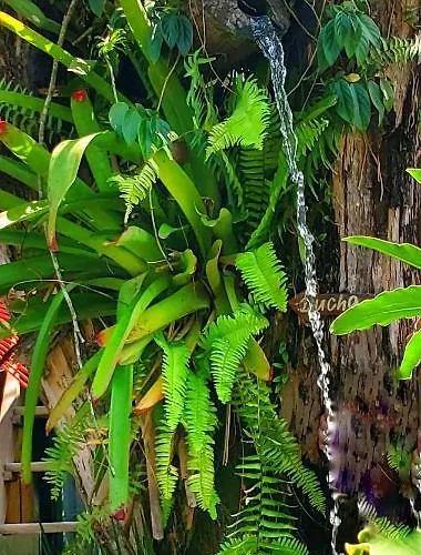 Pousada Villa Maritima Trindade 