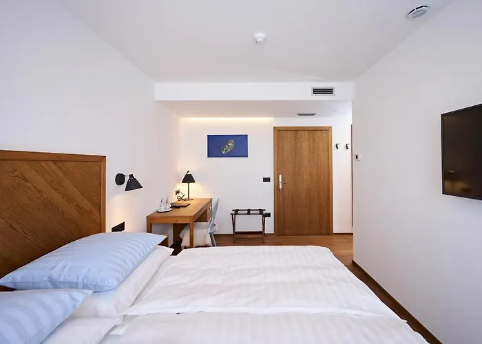Kranj Hotels