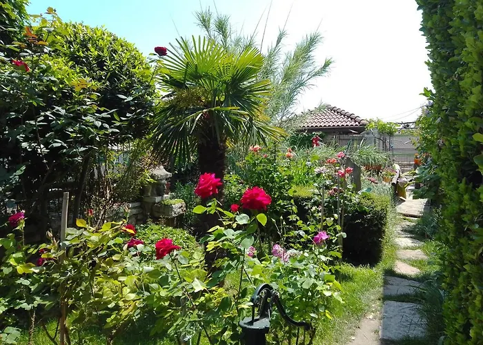 Guest Rooms Amazonka Warna