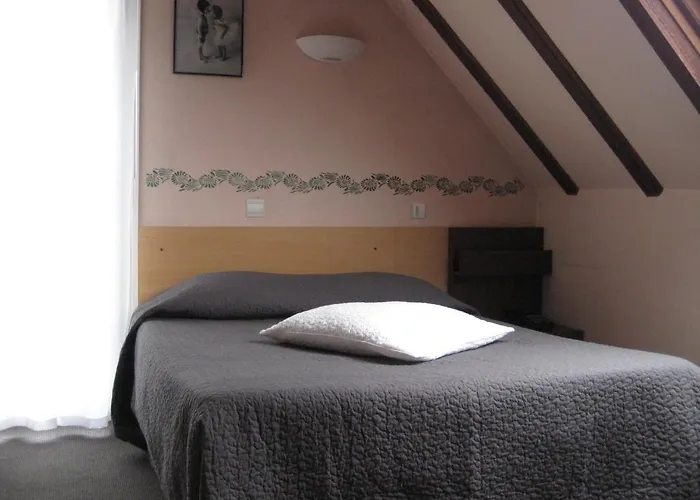 Hotel Le Domino Illkirch-Graffenstaden