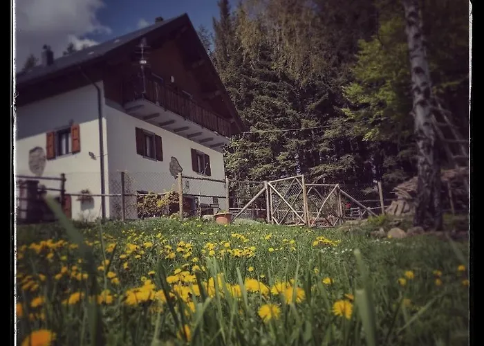 B&B Alle Betulle