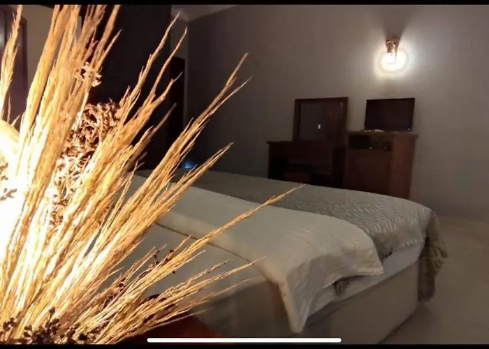 Altinoluk Hotels