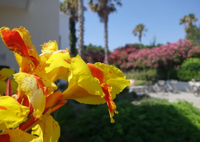Psalidi (Kos) Hotels