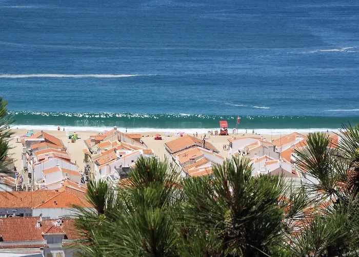 Ricardo Holidays At Nazaré