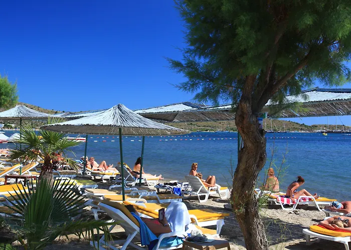 Hotels in Gümbet