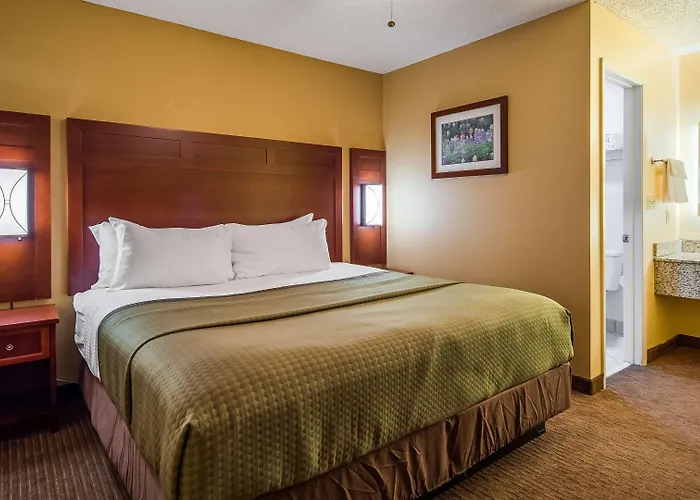 Best Western Llano