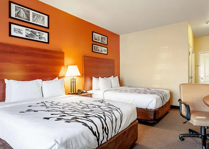Tyler Hotels