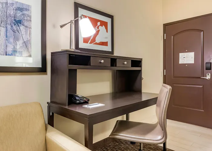 Staybridge Suites St. Petersburg Fl By Ihg