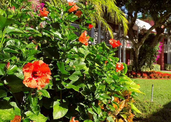Collins Hotel North Naples