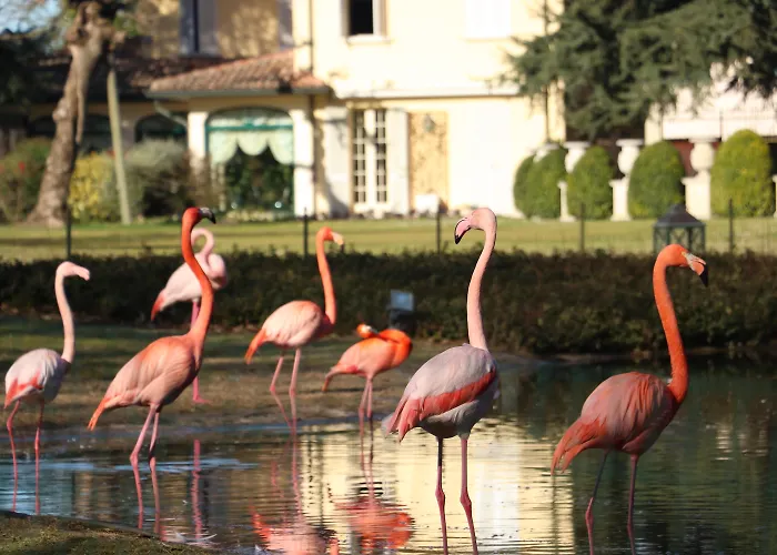 Villa Abbondanzi Resort Faenza