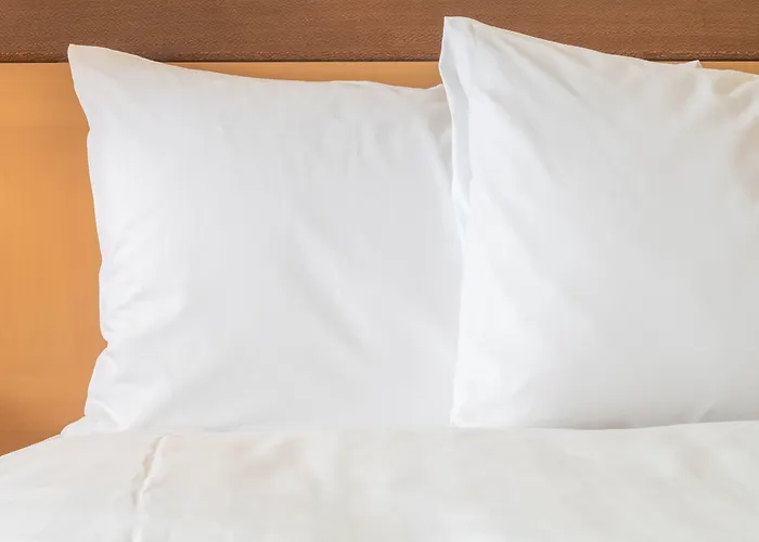 Holiday Inn Express & Suites Orlando At Seaworld By Ihg - With Free Shuttle Service To Seaworld Parks Williamsburg