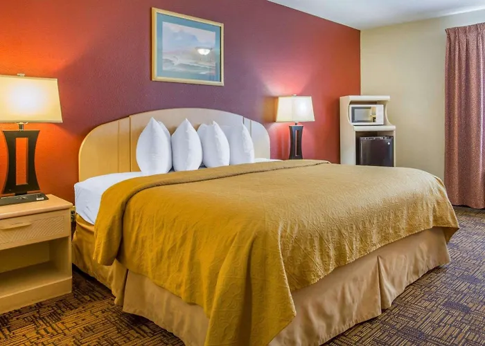Weed Hotels