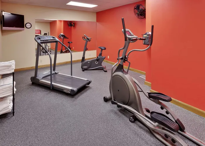Mount Morris Hotels