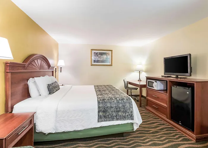 Cadiz Hotels