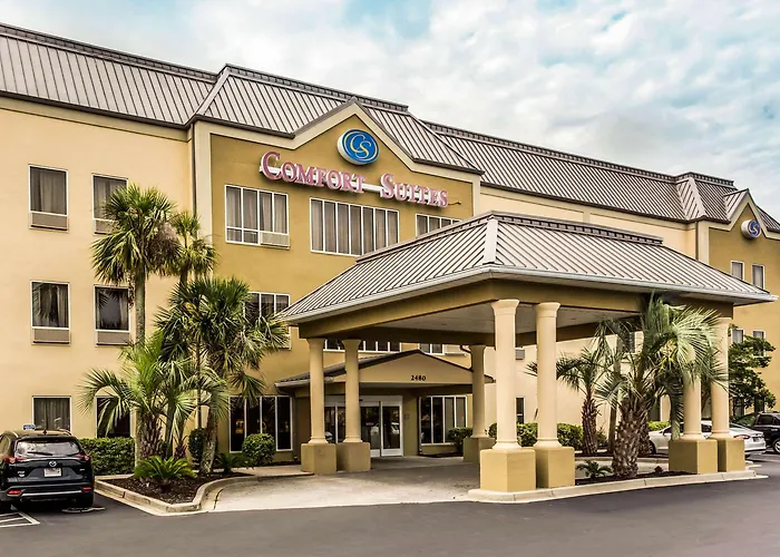 Comfort Suites At The University Conway