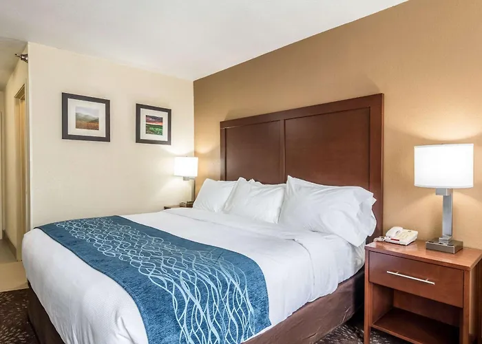 Comfort Inn & Suites - Hannibal