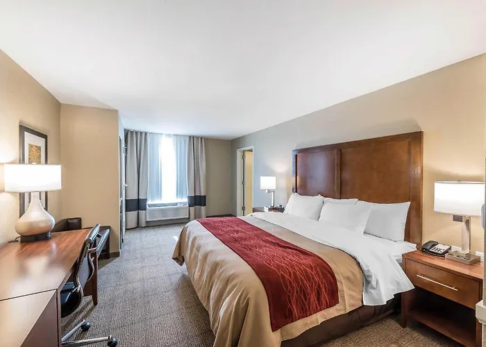 Sidney Hotels
