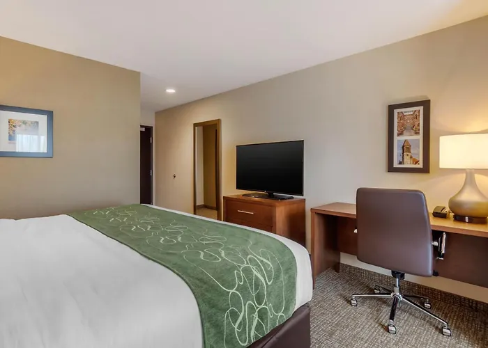 Schenectady Hotels With Pool