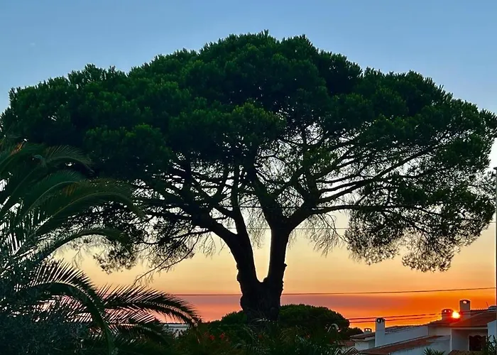 Vila De Sol Sesimbra