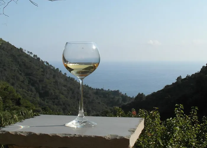 Agriturismo Costa di Campo Vernazza