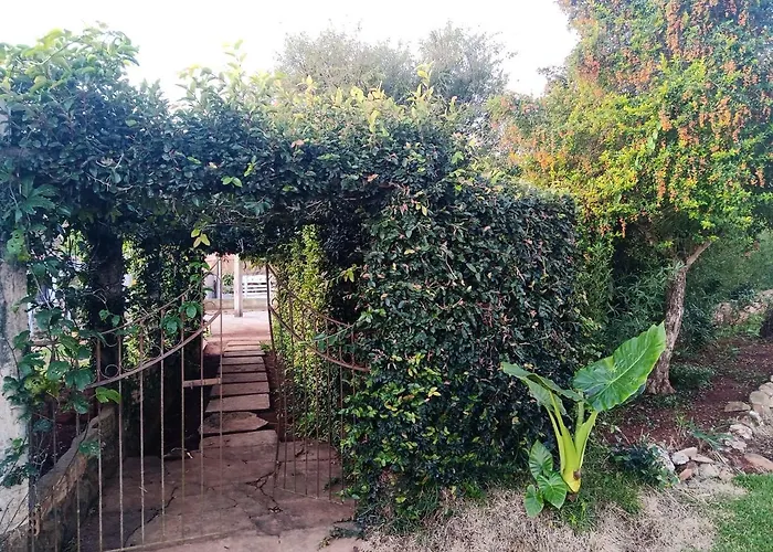 Pousada Belvedere Tibagi