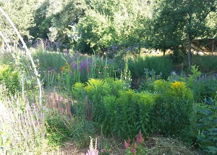De Geheime Tuin - Boshuis Epe