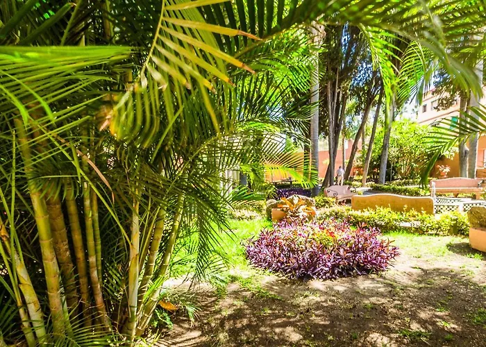 Hostal Tropical Almuñécar