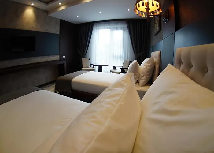 Hotels in Amasya