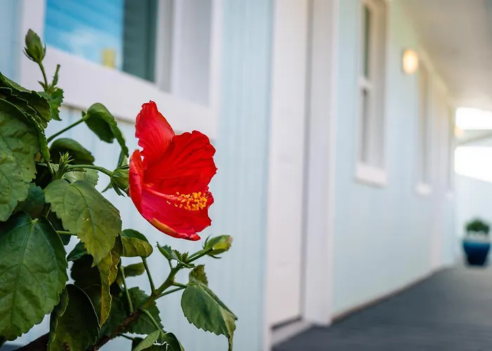Atlantic Beach Hotels