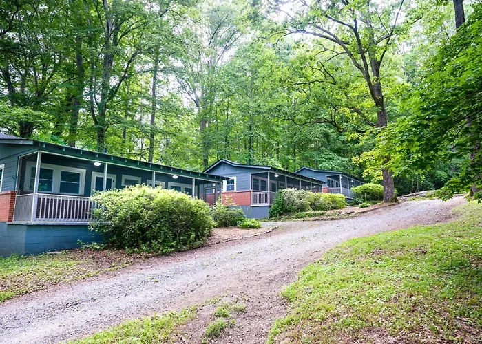Pisgah Forest Hotels