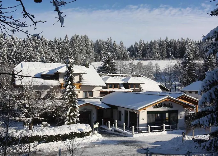 Hotels in Grafenau (Bavaria)