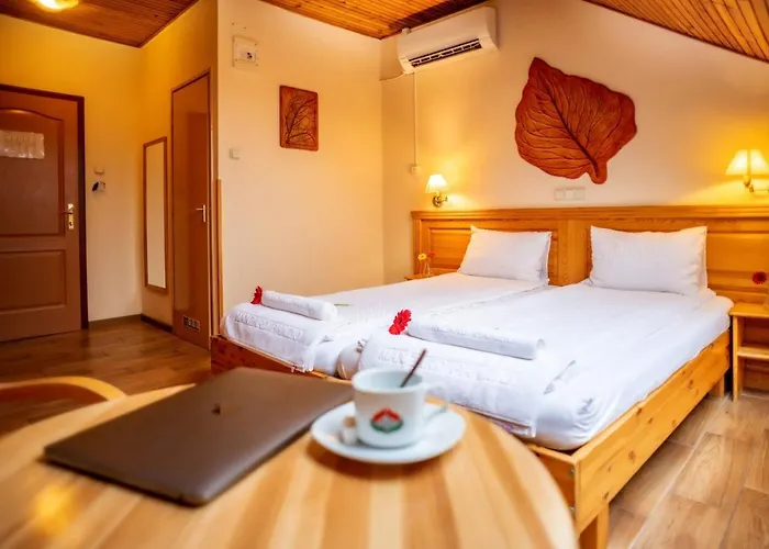 Hotel Manzard Panzio Budapest