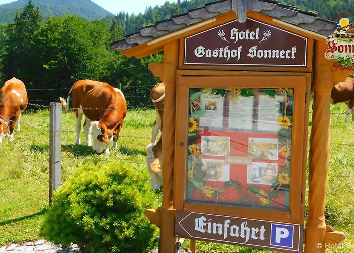 Hotel-Gasthof-Sonneck