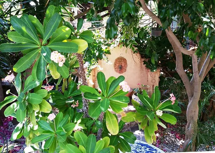 B&B Le Terrazze