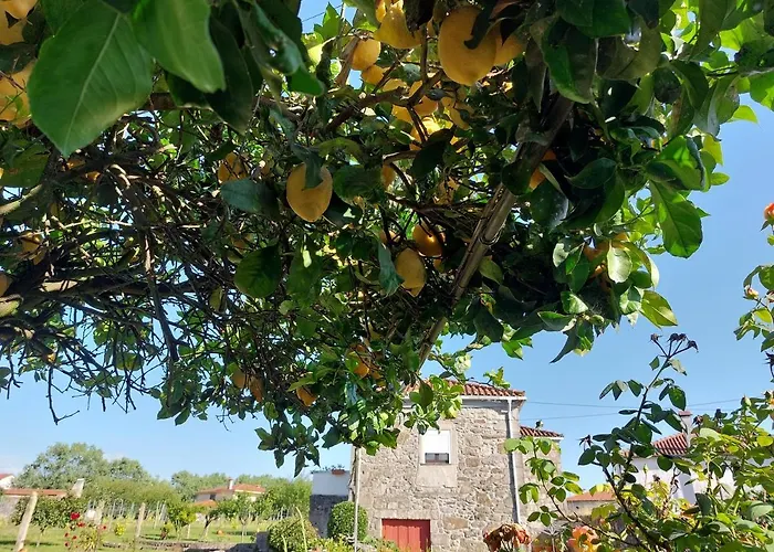 Quinta Da Ponte