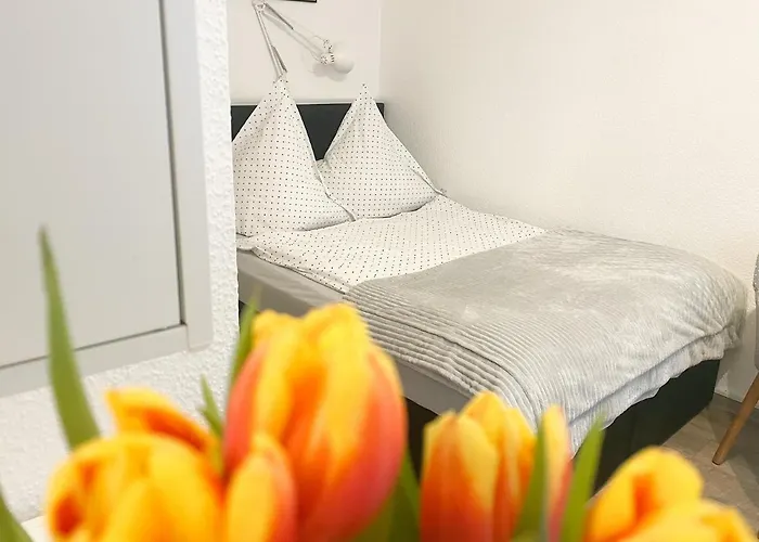 Hotel Ferienzimmer Adalonia Greifswald