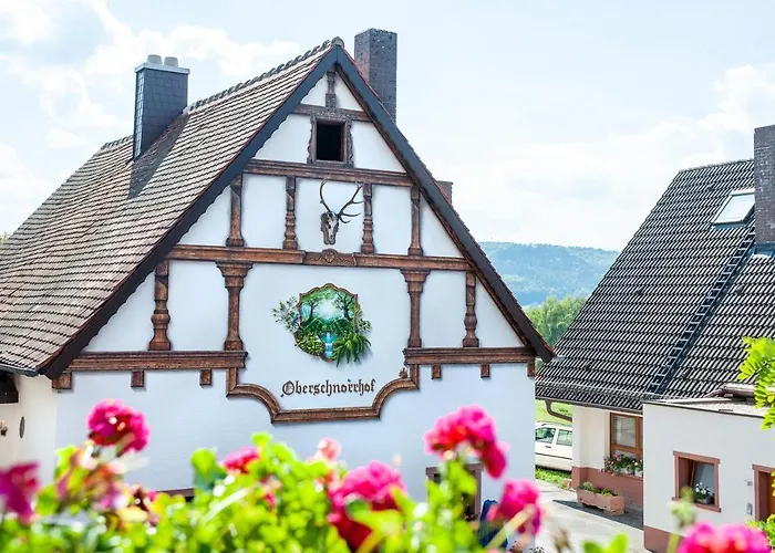 Hotels in Dammbach