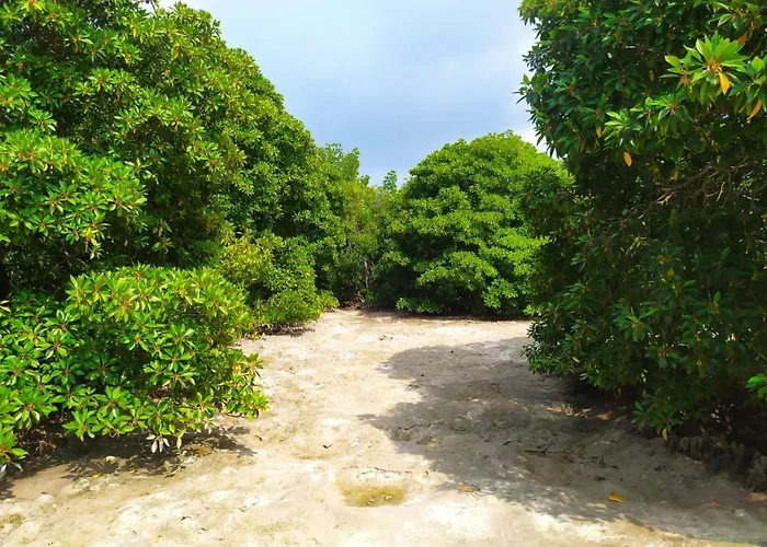 Hotel a Huraa