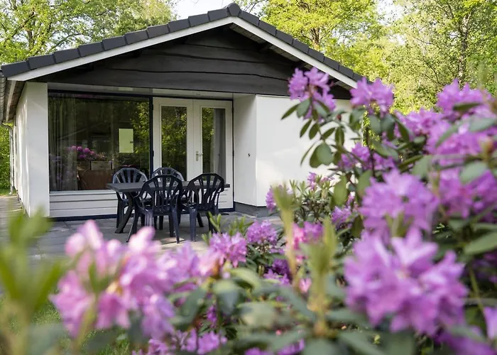 Vakantiepark Westerbergen Echten 