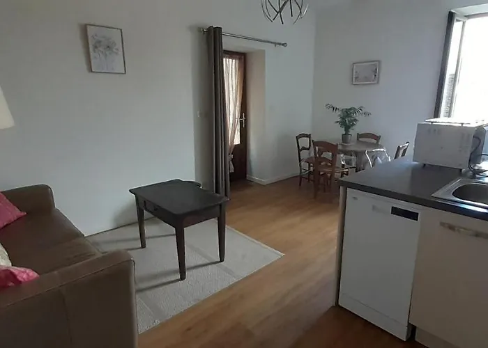 Charme et jardin cœur St Cirq - Appartements Saint-Cirq-Lapopie