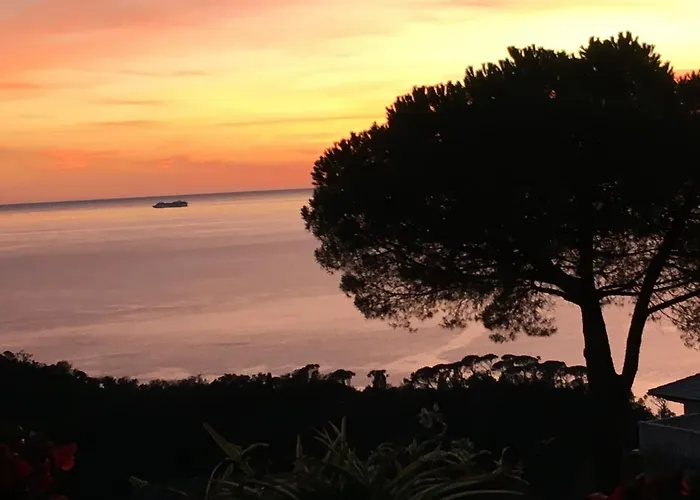 B&B Villa Orchidea Camogli
