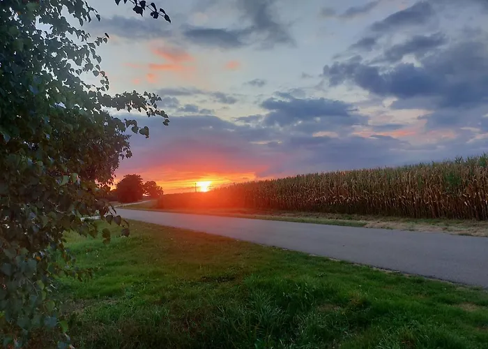 De Berenshoeve Bed and Breakfast Emmen