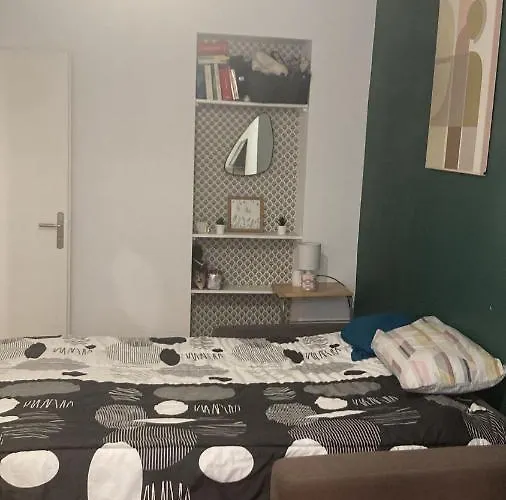 Chambre En Appartement Haussmannien En Centre Ville Saint-Etienne 