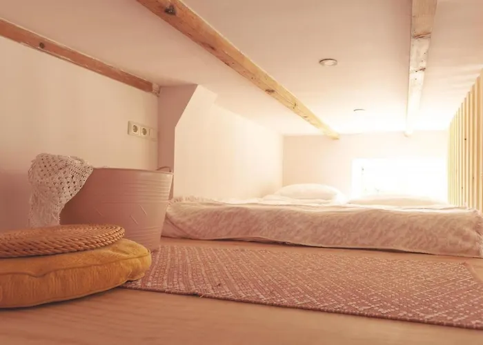 Lovely And Charming Guesthouse Near City Center, Close To Rotterdam Dordrecht