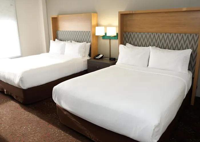 Holiday Inn O'Hare Area By Ihg Rosemont