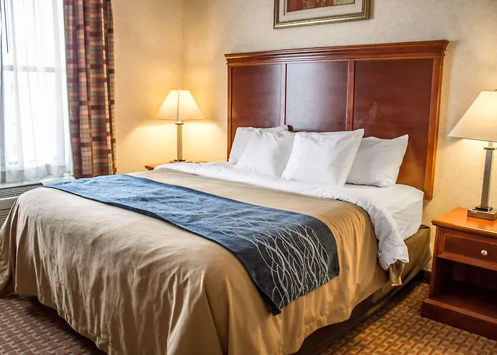 Comfort Inn & Suites Kent - University Area