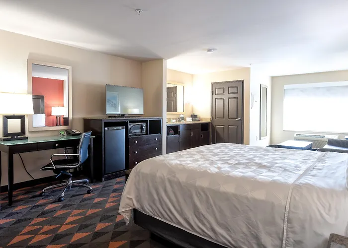 Holiday Inn Oceanside Marina Camp Pendleton By Ihg