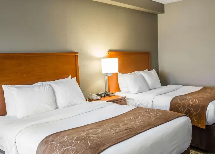 Vista Suites Near Island And Leconte Convention Center Pigeon Forge